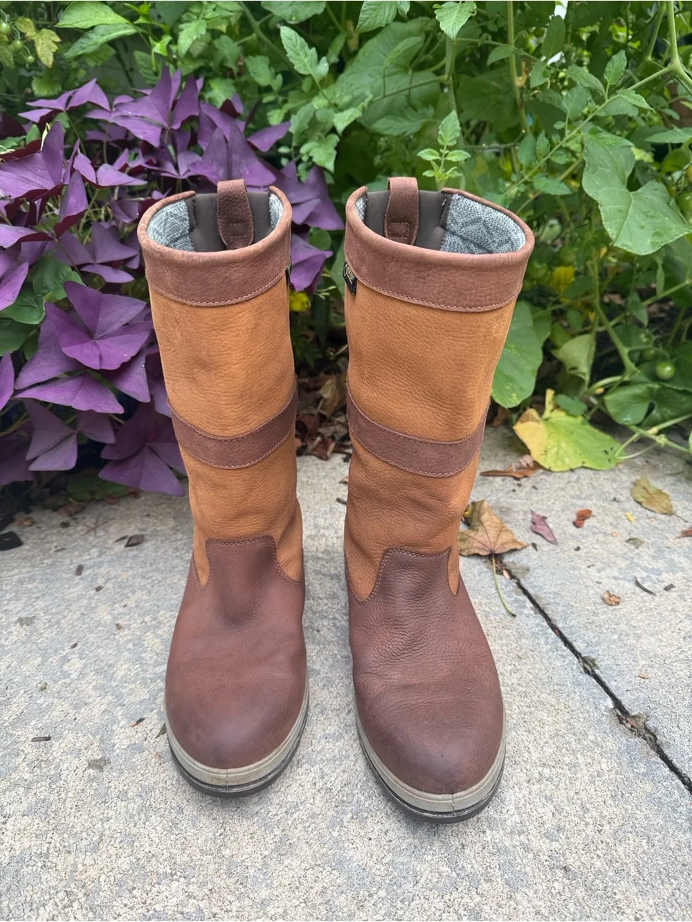 Dubarry Ultima Sailing Boot